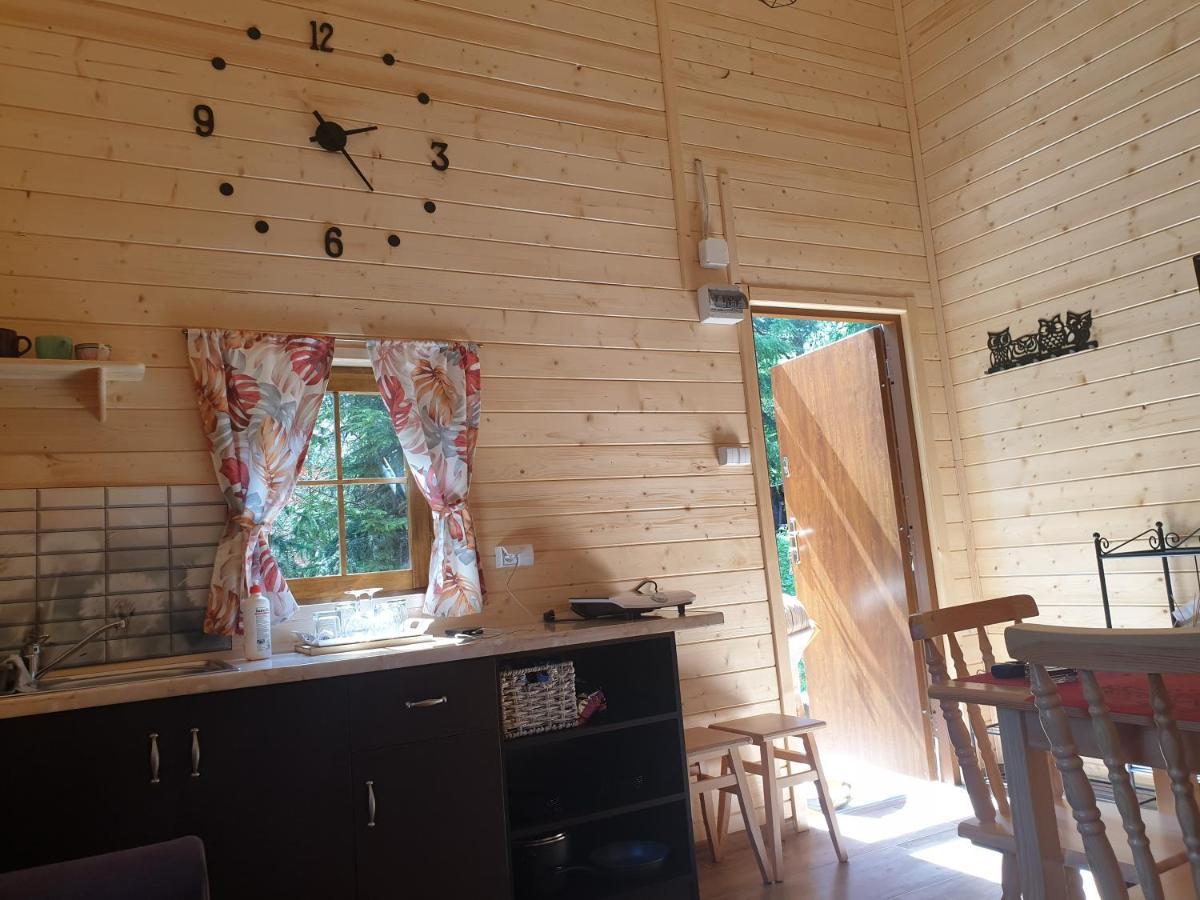 Domki Letniskowe Pod Lasem Koziniec エクステリア 写真