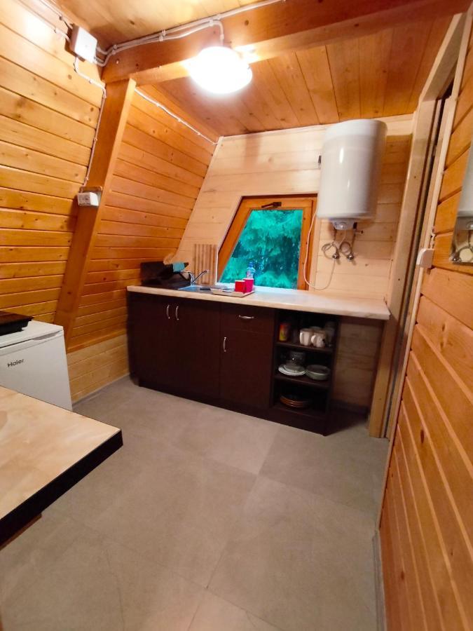 Domki Letniskowe Pod Lasem Koziniec エクステリア 写真